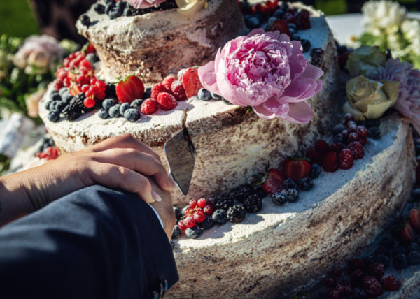 davide posenato fotografo matrimonio torino jessica e roberto tenuta la michelina