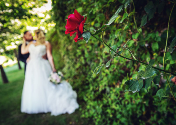 davide posenato fotografo matrimonio torino jessica e roberto tenuta la michelina